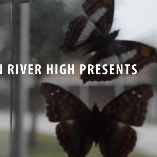 BRHS AVID Recruitment 2015-16