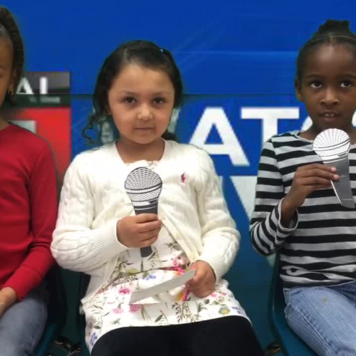 Rainforest News Channel