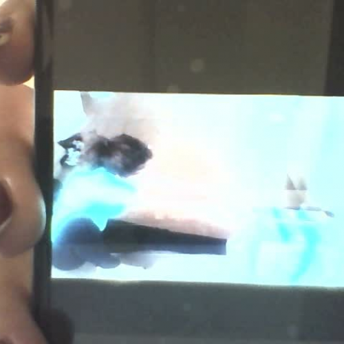 1.03 video assessment