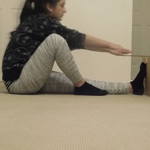 01.03 Fitness Assessment Video Submission Sit & Reach