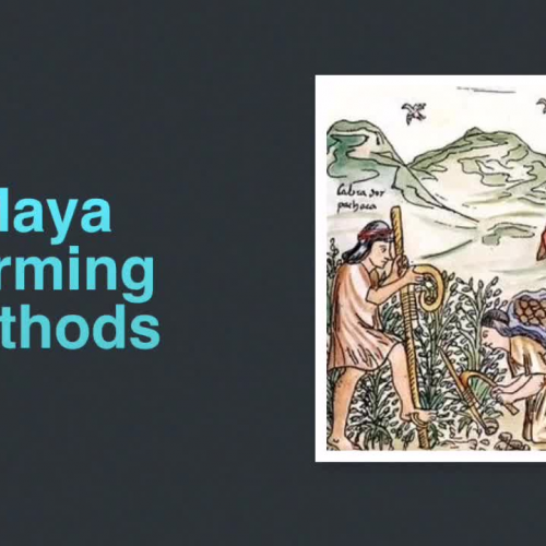 Maya Farming Methods Part 1