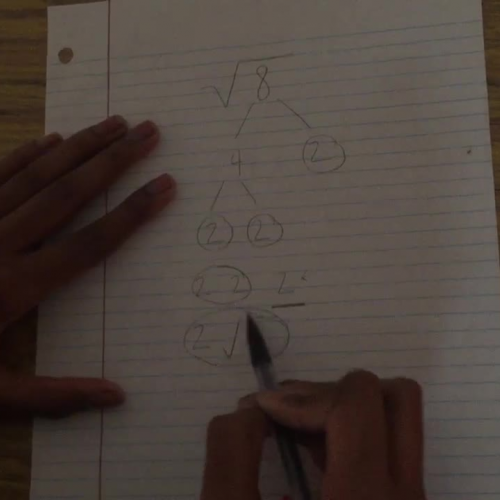 Radical Roots: Part 1B