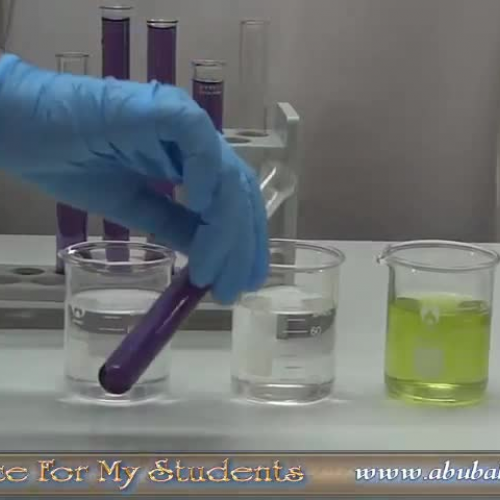 How to use Red Cabbage Solution to identify Acids, Bases and Neutral