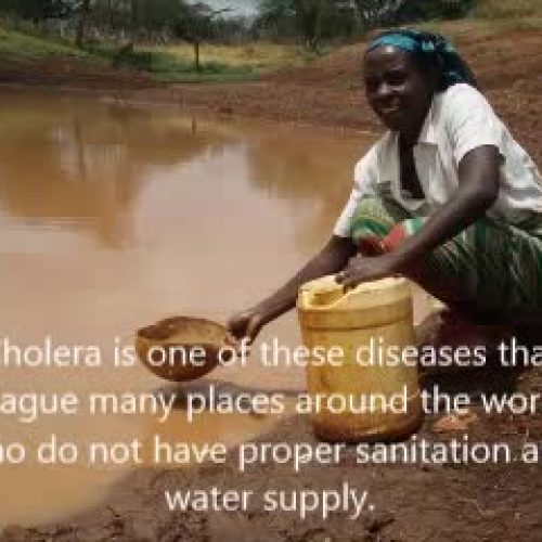 Cholera
