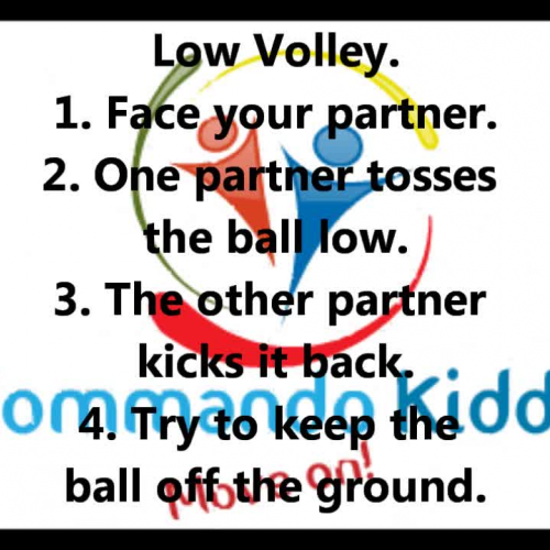 Low Volley