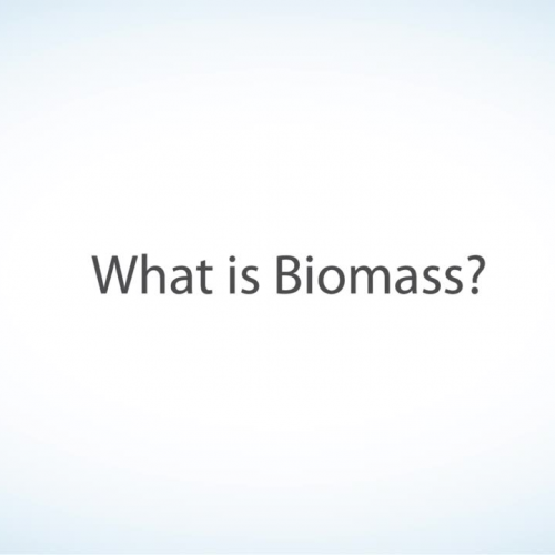 Biomass Video