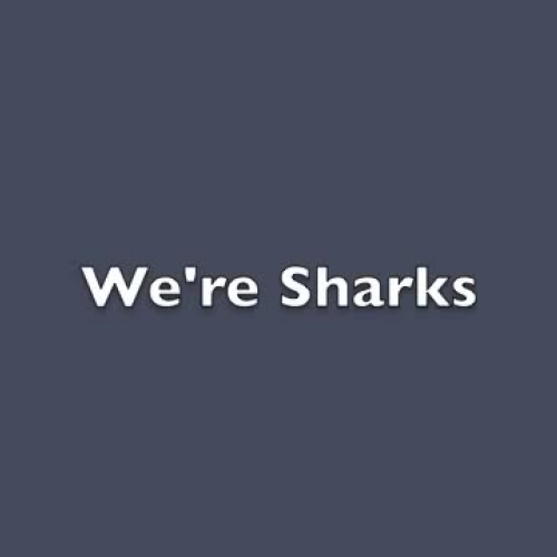 We're Sharks