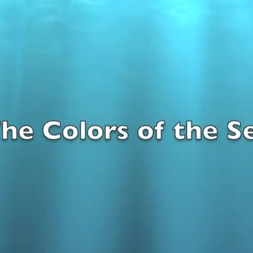 The Colors of the Sea