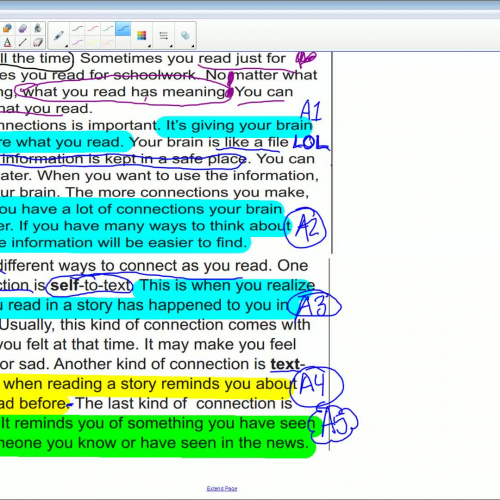 Using Think Marks to Annotate Text #2