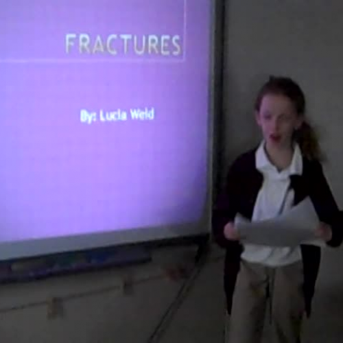 weid discovery quest