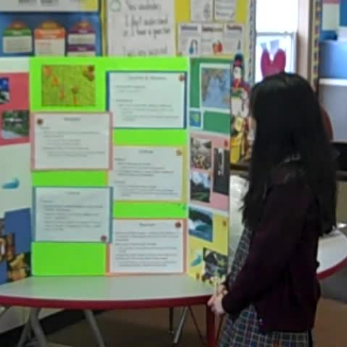 Naomi Discovery Quest