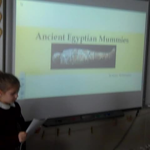 mcmenamin discovery quest