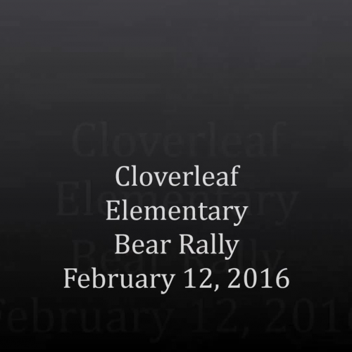 Bear Rally February 12, 2016