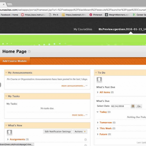 Claire Gerdsen's Camtasia Course Tour