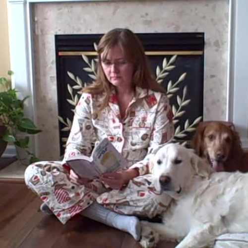 SAES Lemonade War Chapter 3