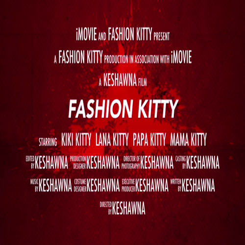 Fashion Kitty