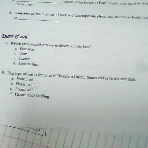 Formation of Soil foldable quiz 7-10