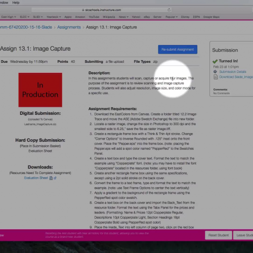 Image Capture: Submitting