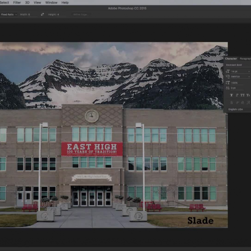 Image Capture: Scanning a Continuous Tone Image