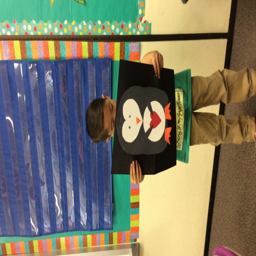 Student 18 Penguin Presentation