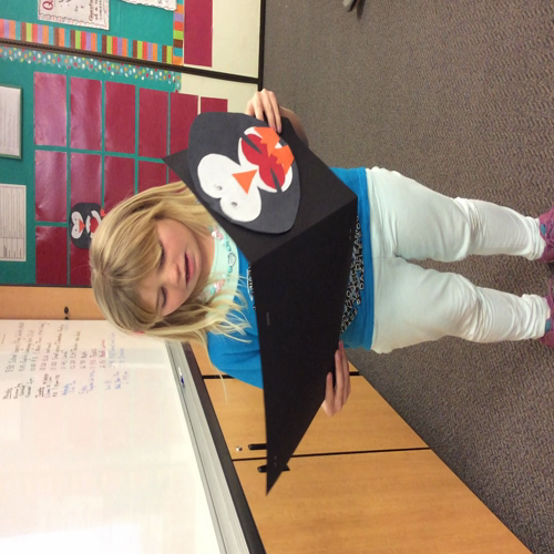 Student 9 Penguin Presentation