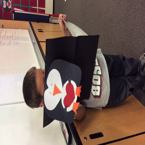 Student 8 Penguin Presentation