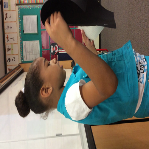 Student 23 Penguin Presentation