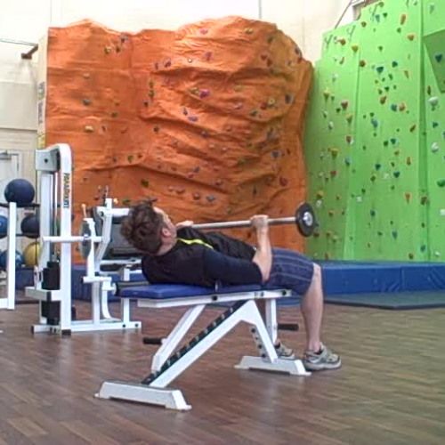 Barbell Bent Arm Pullover