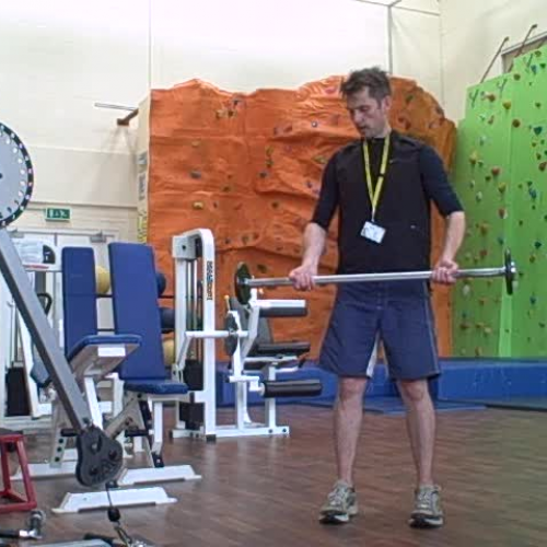 Barbell Bicep Curl - Demonstration