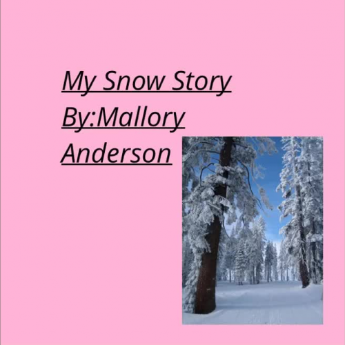Mallory Winter Narrative