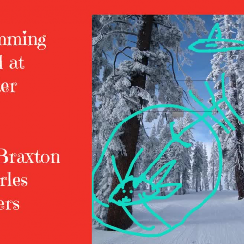 Humming Bird At Winter