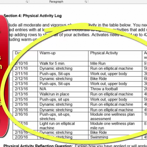 TUTORIAL Wellness Plan - Activity Log  Section