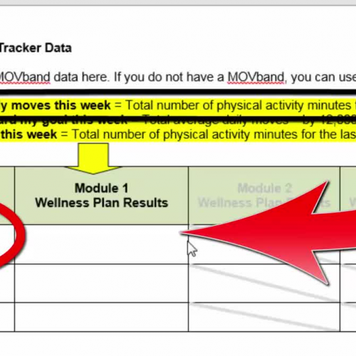 TUTORIAL Wellness Plan -Fitness Tracker Data Log  Section