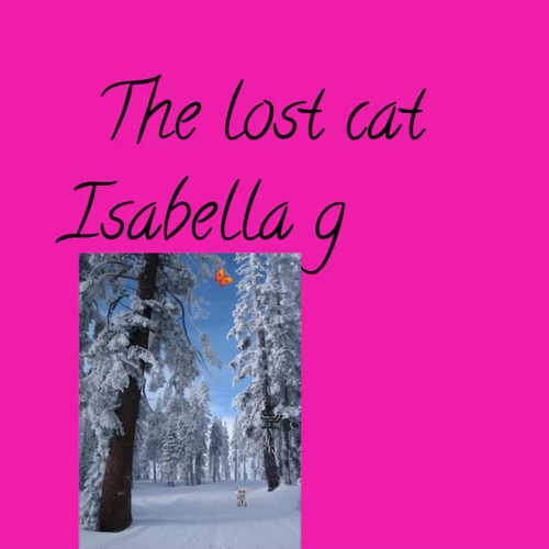 The Lost Cat