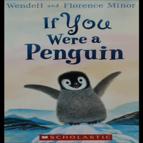 If You Were a Penquin