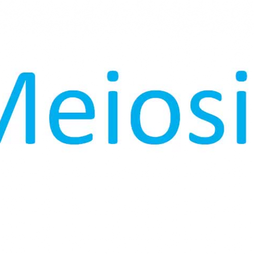 Meiosis