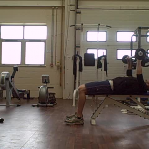 Barbell Chest Press - Practical Demonstration