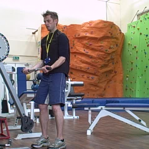 Bicep Curl Low Pulley