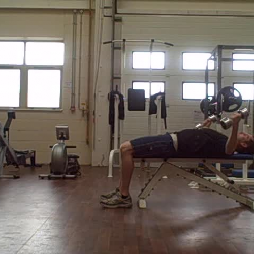 Dumbell Chest Flyes Demonstration