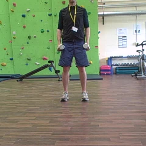 Dumbell Lateral Raises Demonstration