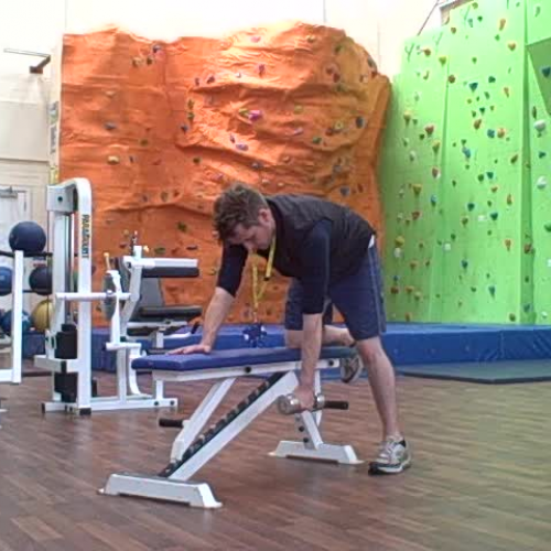 Dumbell Seated Row Demonstration