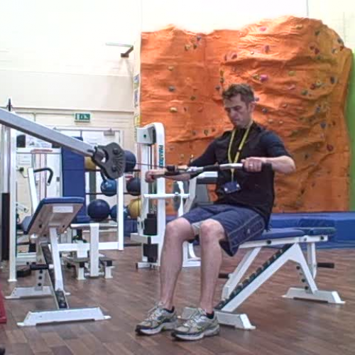 Low Pulley Seated Row Demonstration
