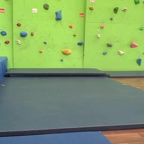 Press Ups Demonstration