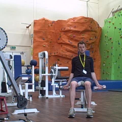 Seated Dumbell Bicep Curl Demonstration