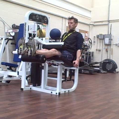 Seated Leg Curl Demonstration