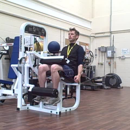 Seated Leg Extension Demonstration