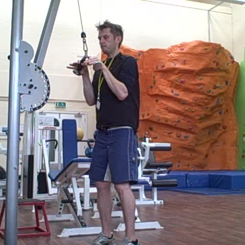 Tricep Pushdown Demonstration