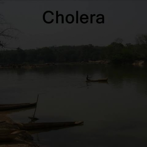 Cholera