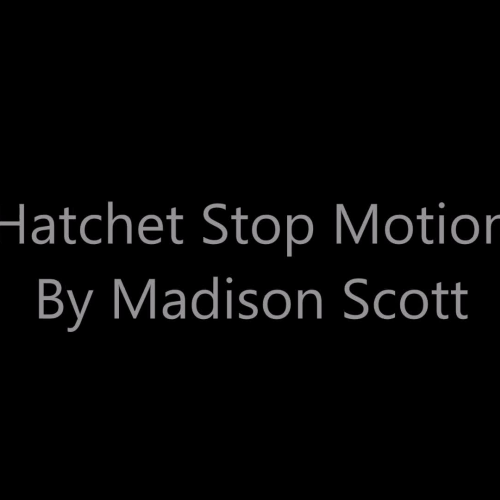 Stop Motion Madison