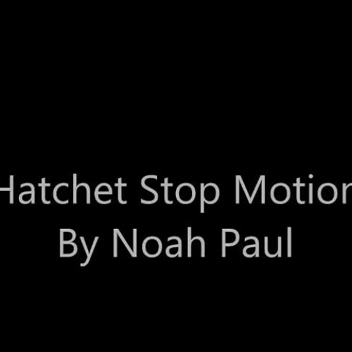 Stop Motion Noah